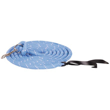 Sky Blue Harry's Horse Bodenarbeitsseil Karabiner Silber 4m