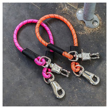 Harry's Horse Anbindestrick Elastisch Panikhaken Colour