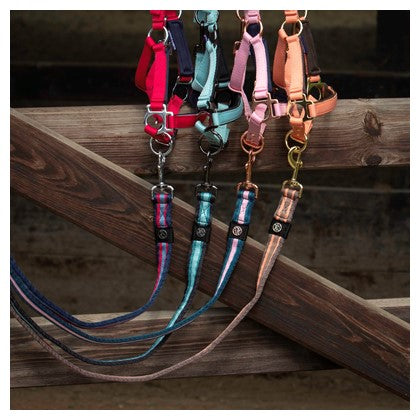 Harry's Horse Leine Soft 2m Stripe