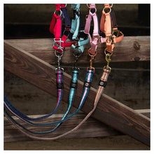 Harry's Horse Leine Soft 2m Stripe