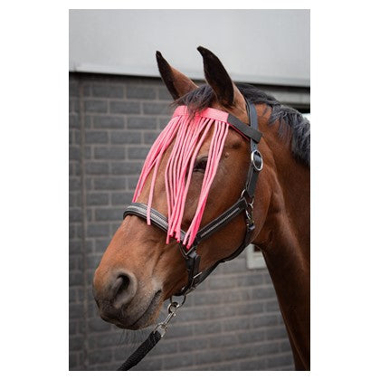 Harry's Horse Fliegenaugenschutzband Colour