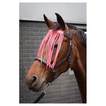 Harry's Horse Fliegenaugenschutzband Colour