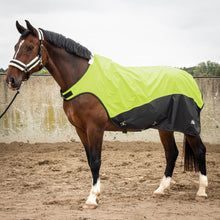 Harry’s Horse Walkerdecke Reflective Waterproof