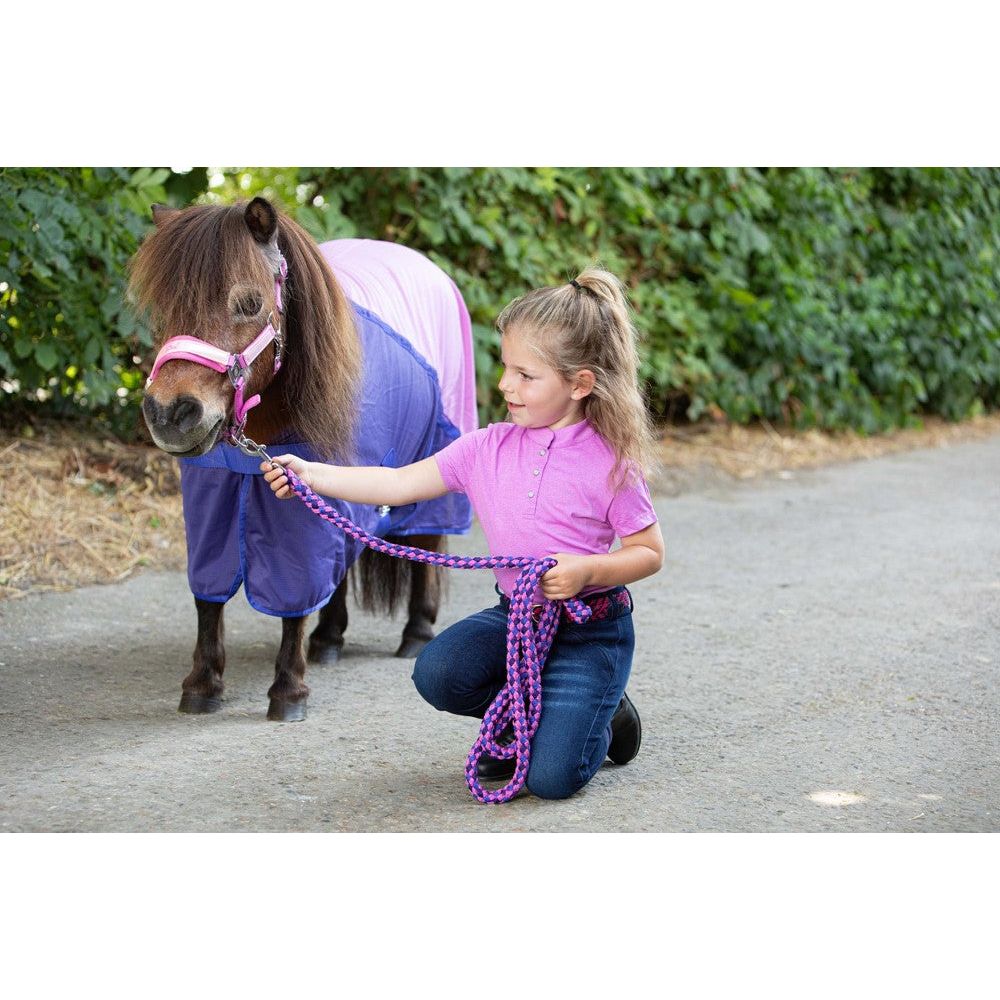 Dark Gray Harry's Horse Fliegendecke Mesh Pro Diva Violet