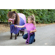 Harry's Horse Fliegendecke Mesh Pro Diva Violet
