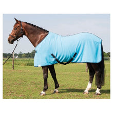 Harry's Horse Fleecedecke Colours