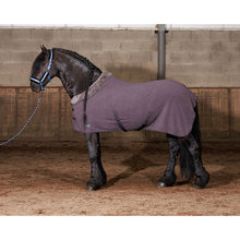 Harry's Horse Fleece Decke Soft W26