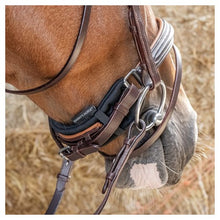 Harry's Horse Nasenriemenunterlage Neopren