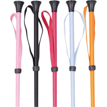 Dark Slate Gray Harry’s Horse Gerte 60cm