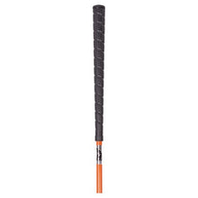Harry's Horse Kontakt Stick