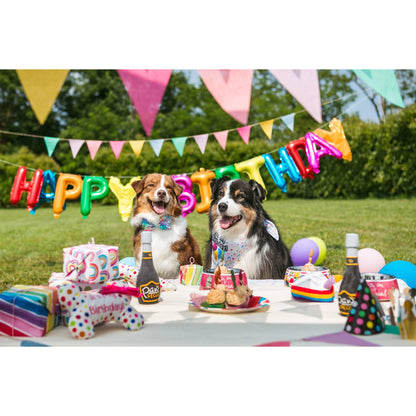Croci Hundespielzeug Plüsch Party Bone