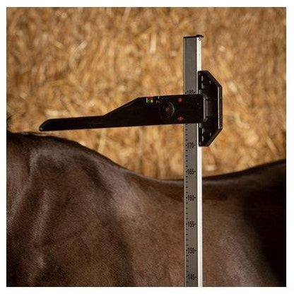 Dark Olive Green Messstock Aluminium 180cm