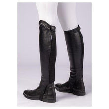 Dark Slate Gray Stiefelschaft Asteroid