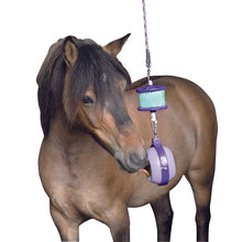Dim Gray Likit Halter - Boredom Breaker
