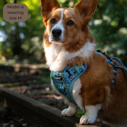 PawStory - Trail Buddy Harnass - Funky Dino