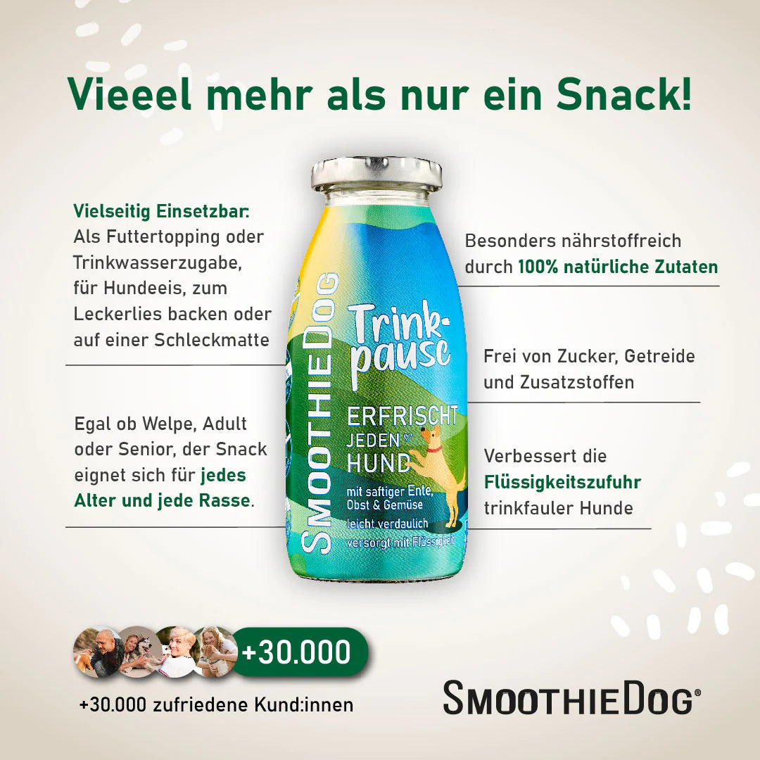 Hundesmoothie Trinkpause Ente