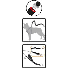 🚗 Croci Sicherheitsgurt für Hunde