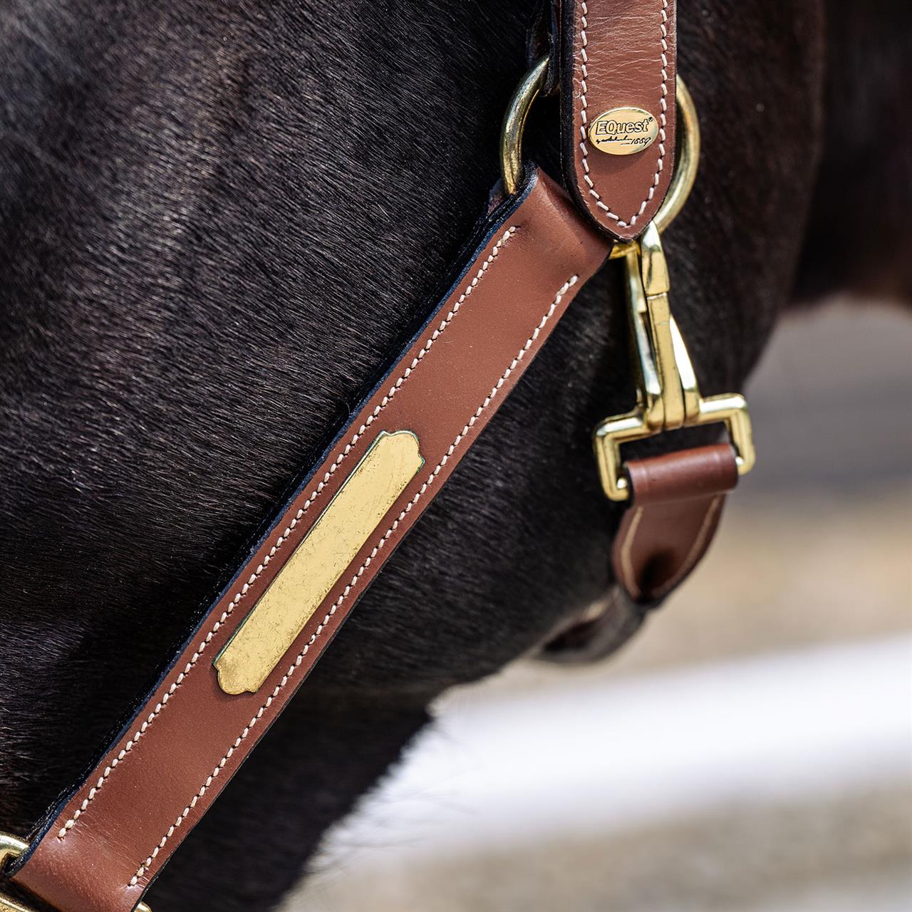 Gray EQUEST® Lederhalfter Inscribe