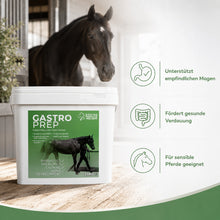 Equine Products Ireland Gastro Prep