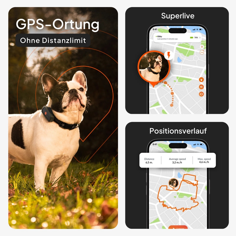Weenect XS - GPS Tracker für Hunde - Kaster Cheval