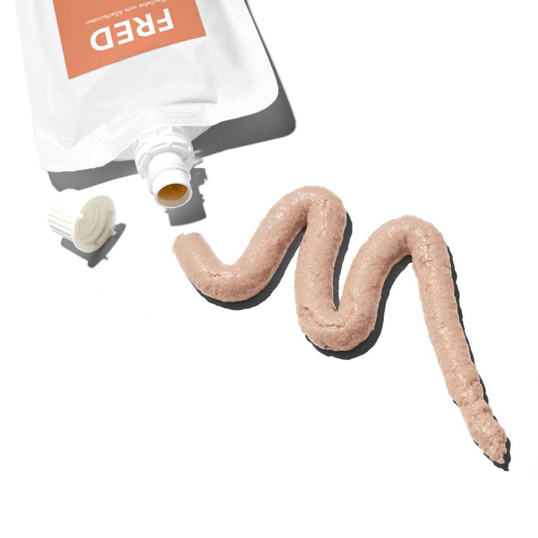 FRED Lieblingscreme Lachs