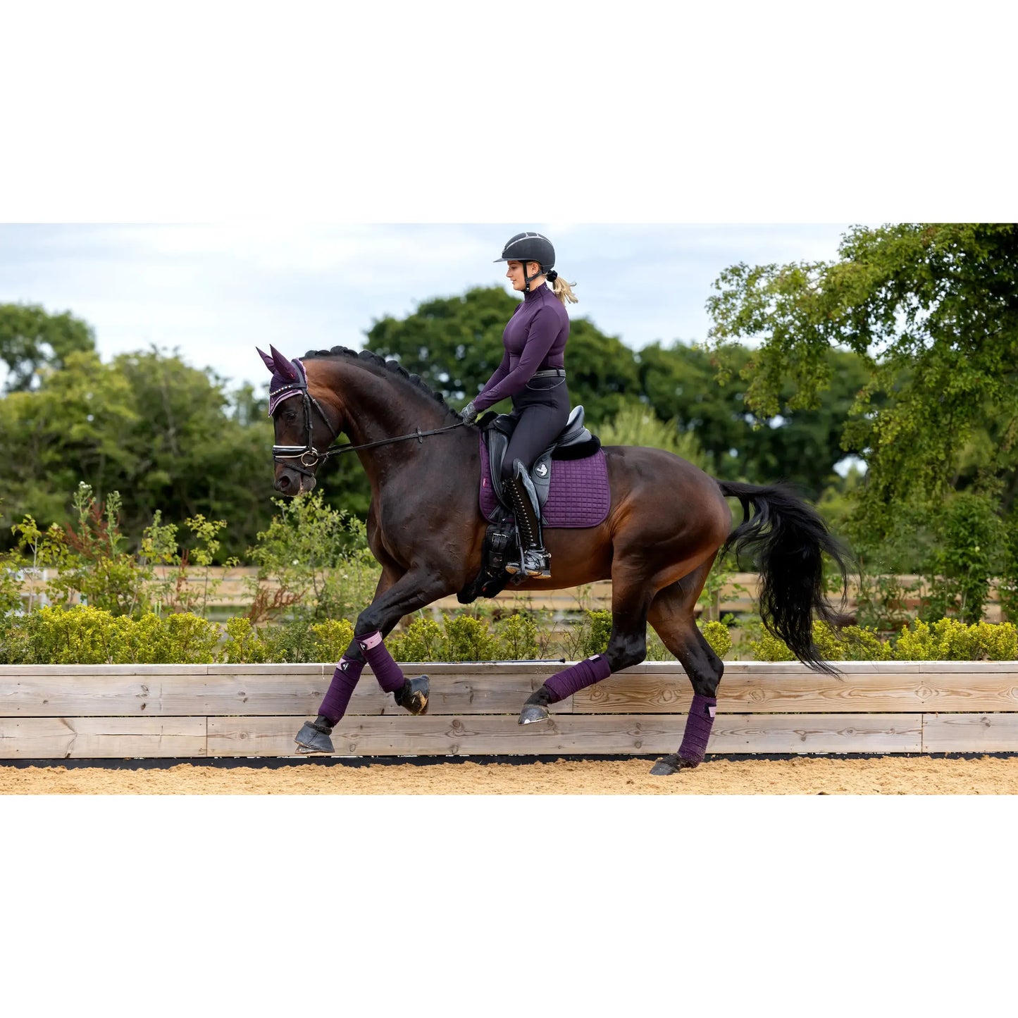 LeMieux Suede Dressage Square LC Fig S/M