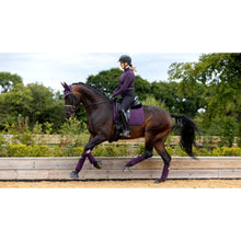 LeMieux Suede Dressage Square LC Fig S/M