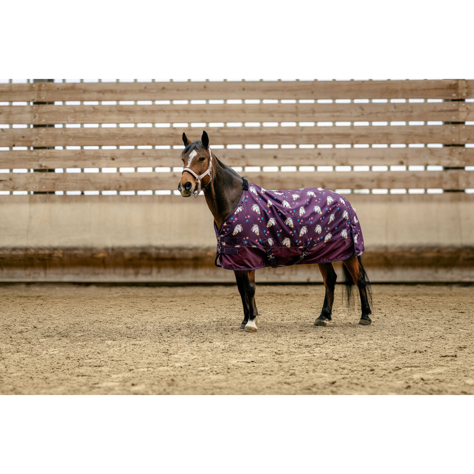 Equithème Outdoordecke Licorne Einhorn 220g - Kaster Cheval
