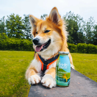 Hundesmoothie Trinkpause Ente