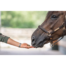 Bense & Eicke Wiesen happies Wildbeere Kräuter 1 kg - Kaster Cheval