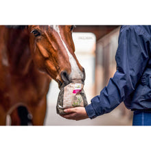 Bense & Eicke Wiesen happies Hagebutte Leinsamen 1 kg - Kaster Cheval