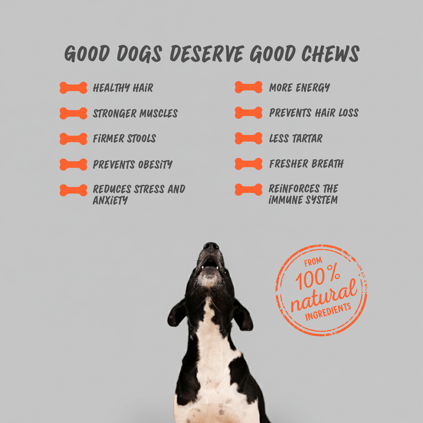 Dog Dental Chew - Cheese & Salmon - Large