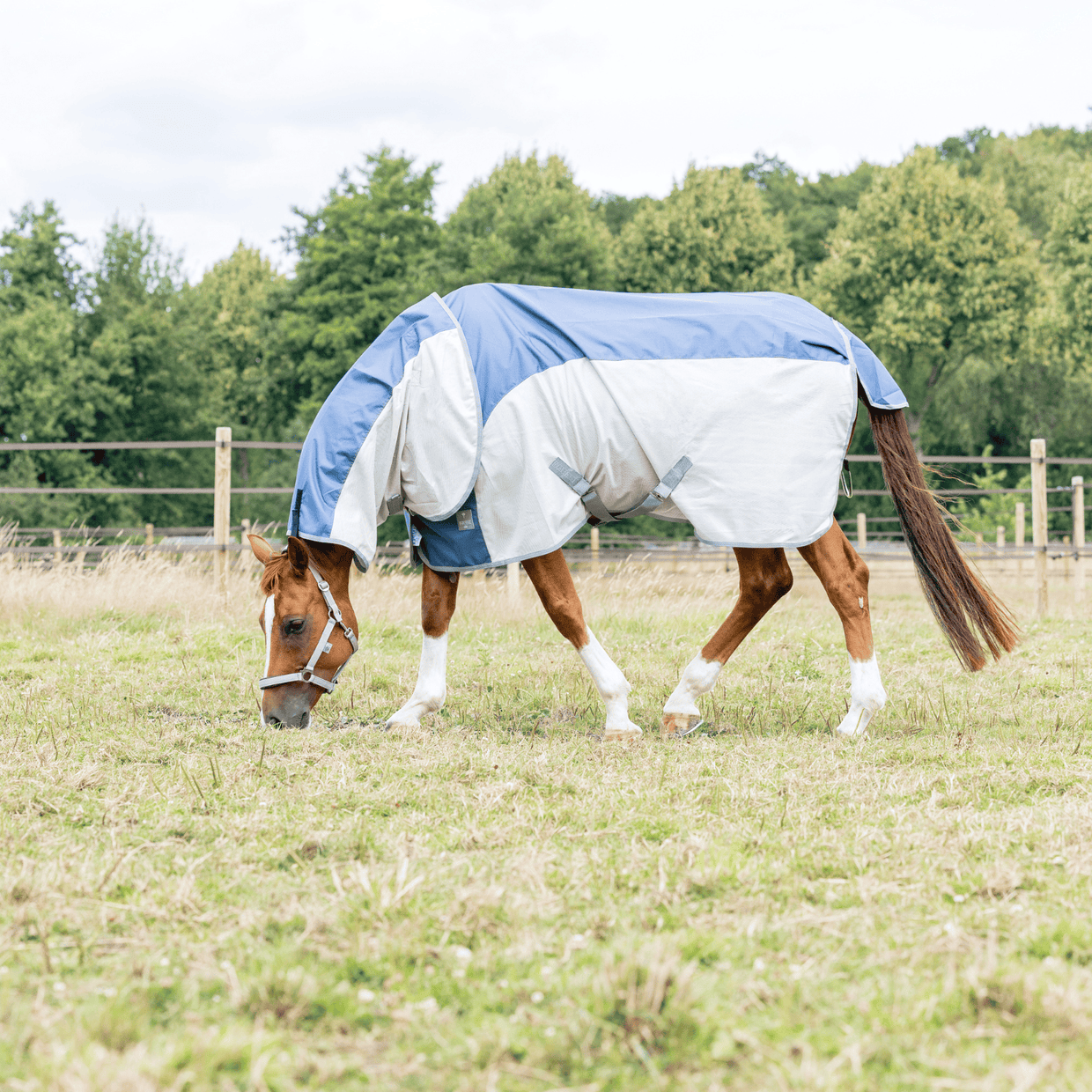EQUEST Hybrid Decke inkl. Halsteil