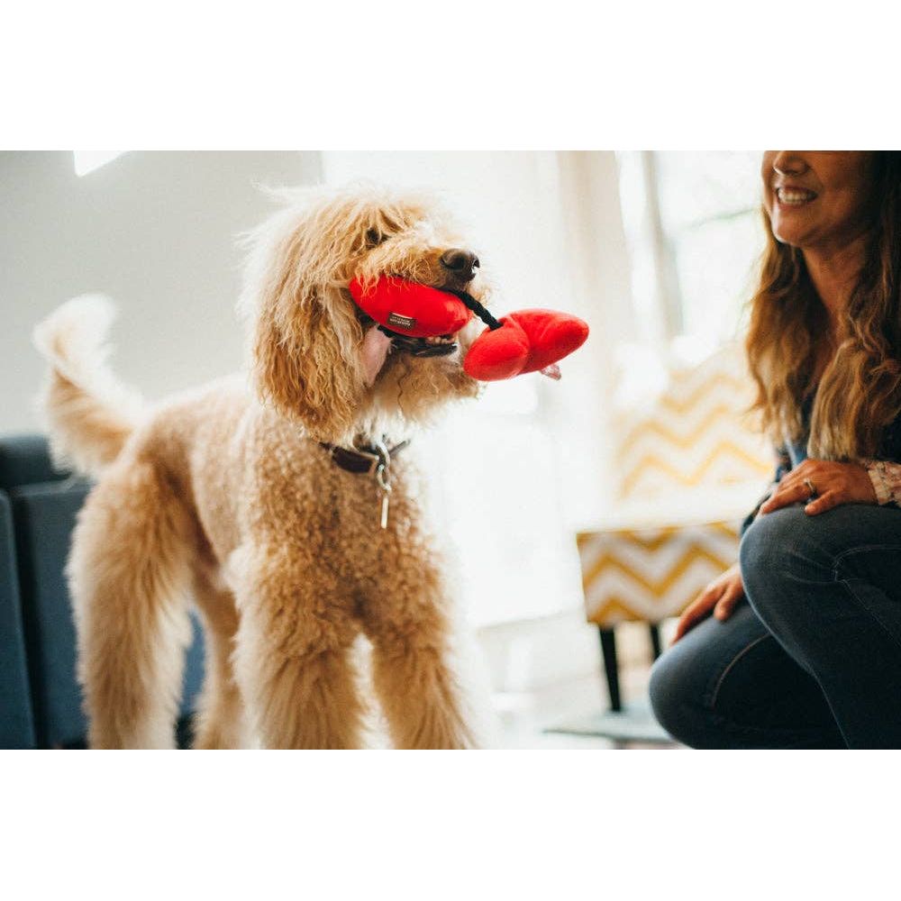 Welpenliebe Für-Immer-Herzen