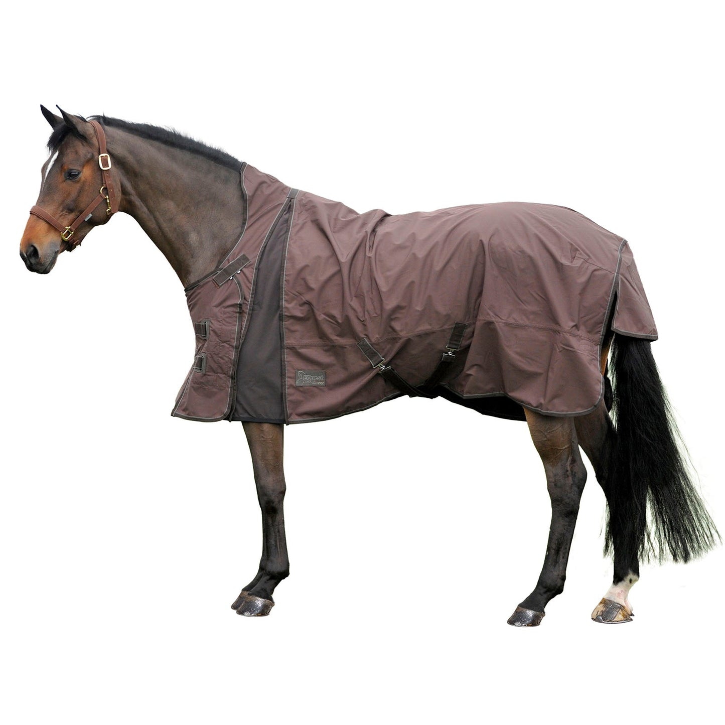 EQuest Nova Scotia Outdoordecke Regen-Fleece