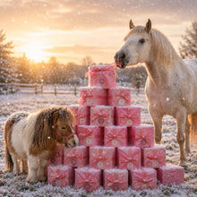 Personalisierter Adventskalender für Pferd & Reiter 2026 🎄