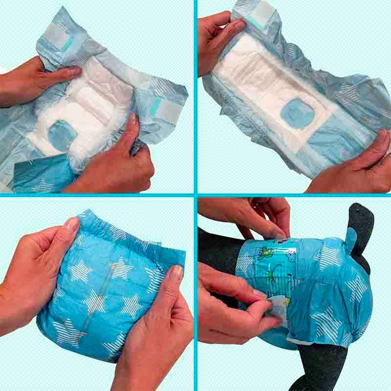 🐾 Croci Hundewindeln Dog Nappy