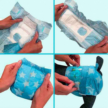 🐾 Croci Hundewindeln Dog Nappy
