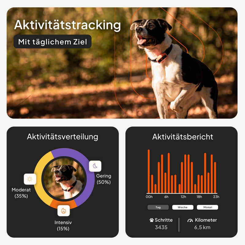 Weenect XS - GPS Tracker für Hunde - Kaster Cheval