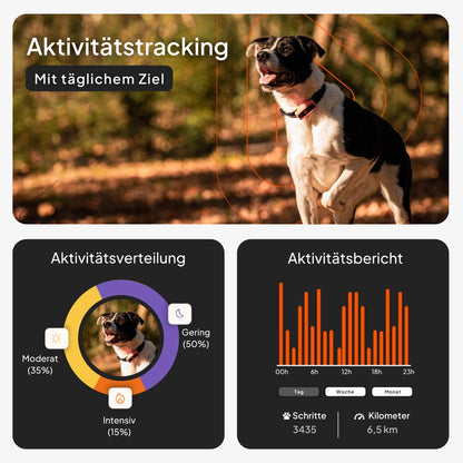 Weenect XS - GPS Tracker für Hunde - Kaster Cheval