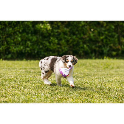 Croci Hundespielzeug Torte „Happy Birthday“