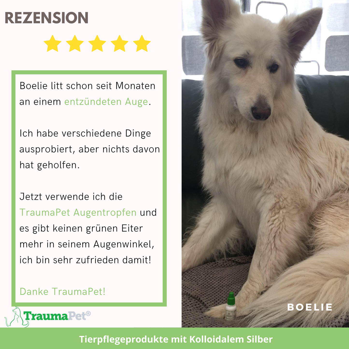 TraumaPet Augentropfen