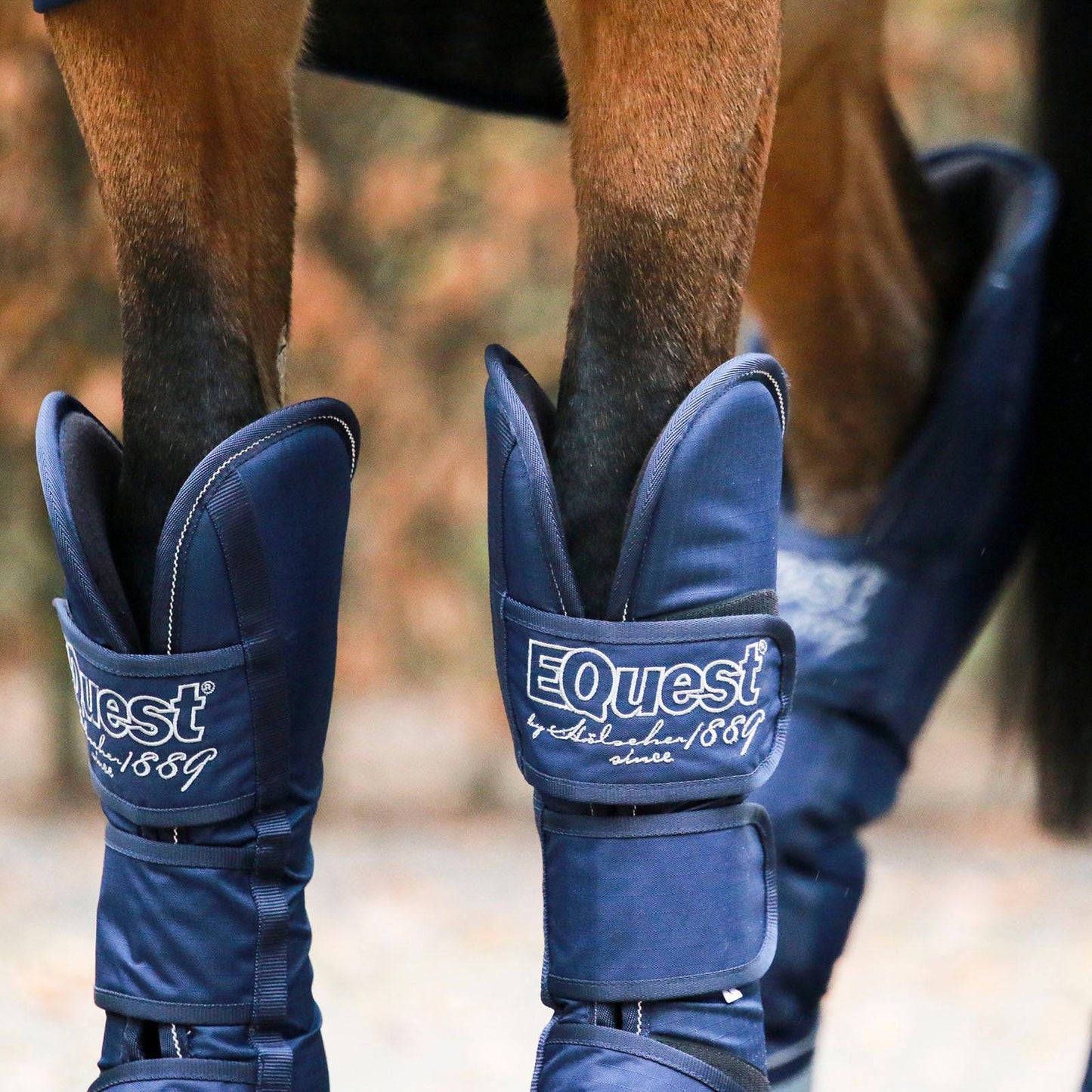 EQuest Transportgamaschen - Kaster Cheval