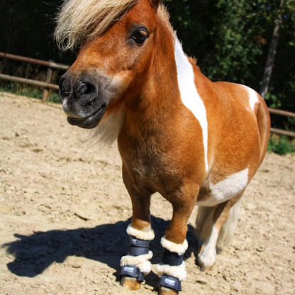 EQuest Hufglocke Melange Shetty | 2er Set