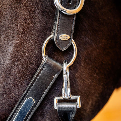 Black EQUEST® Lederhalfter Inscribe