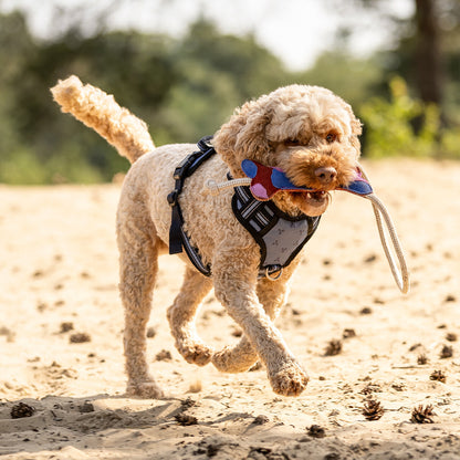 QHP Hundespielzeug Collection SS26