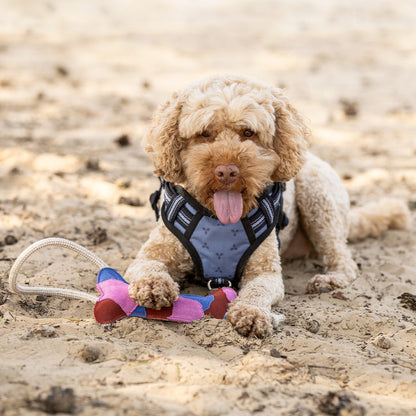 QHP Hundespielzeug Collection SS26