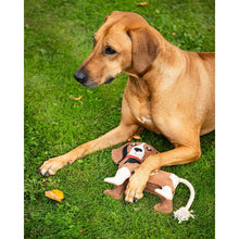 QHP Hundespielzeug Stable buddy Beagle