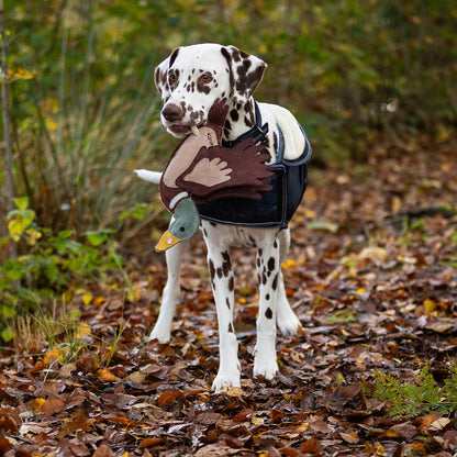 QHP Hundespielzeug Ente WS26