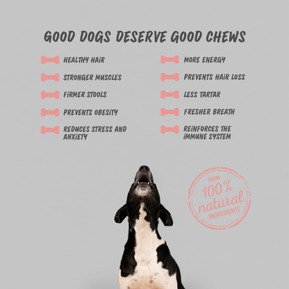 Dog Dental Chew - Cheese & Bacon - Medium
